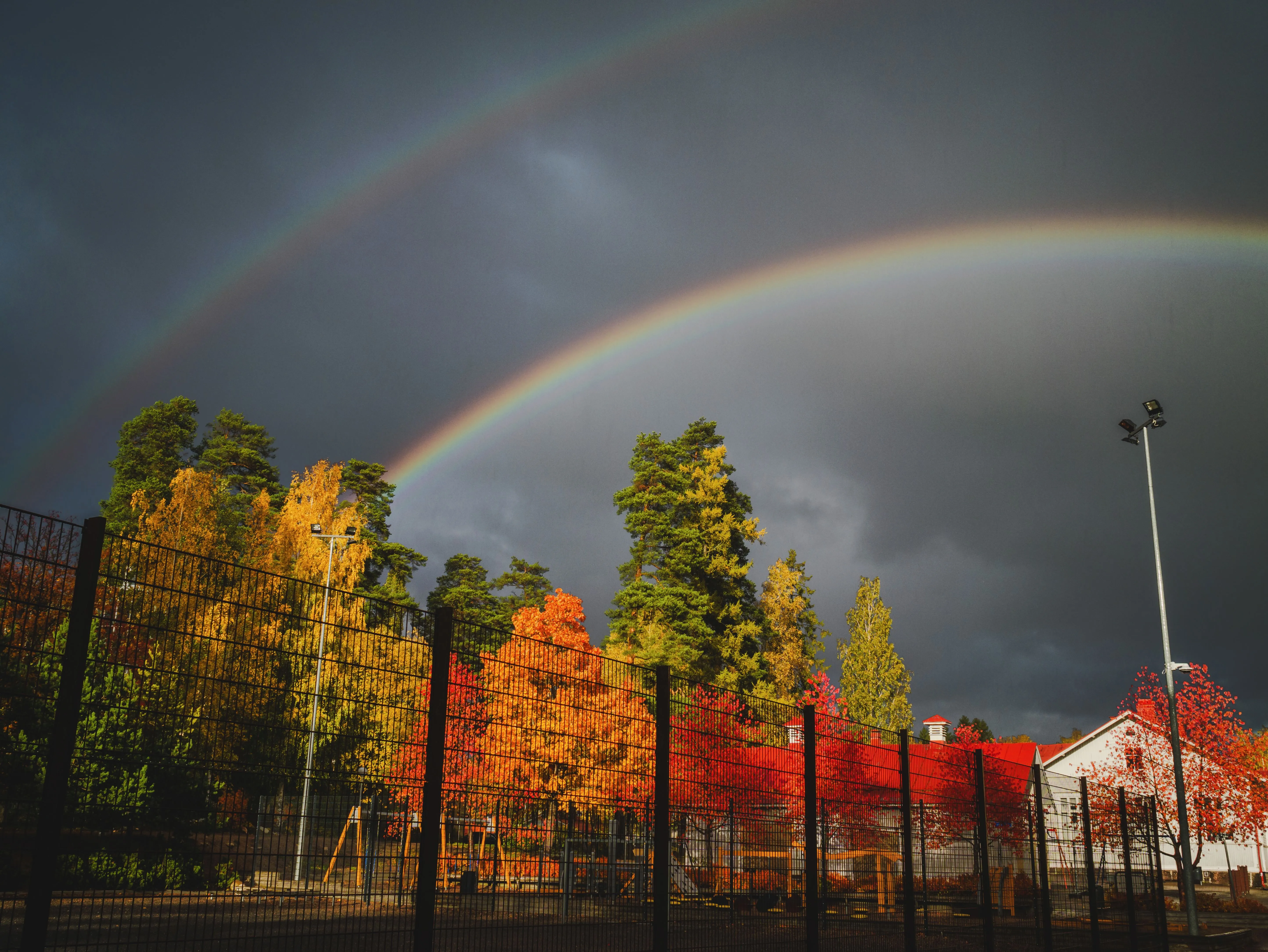 Dramatic double rainbow over fall colored trees