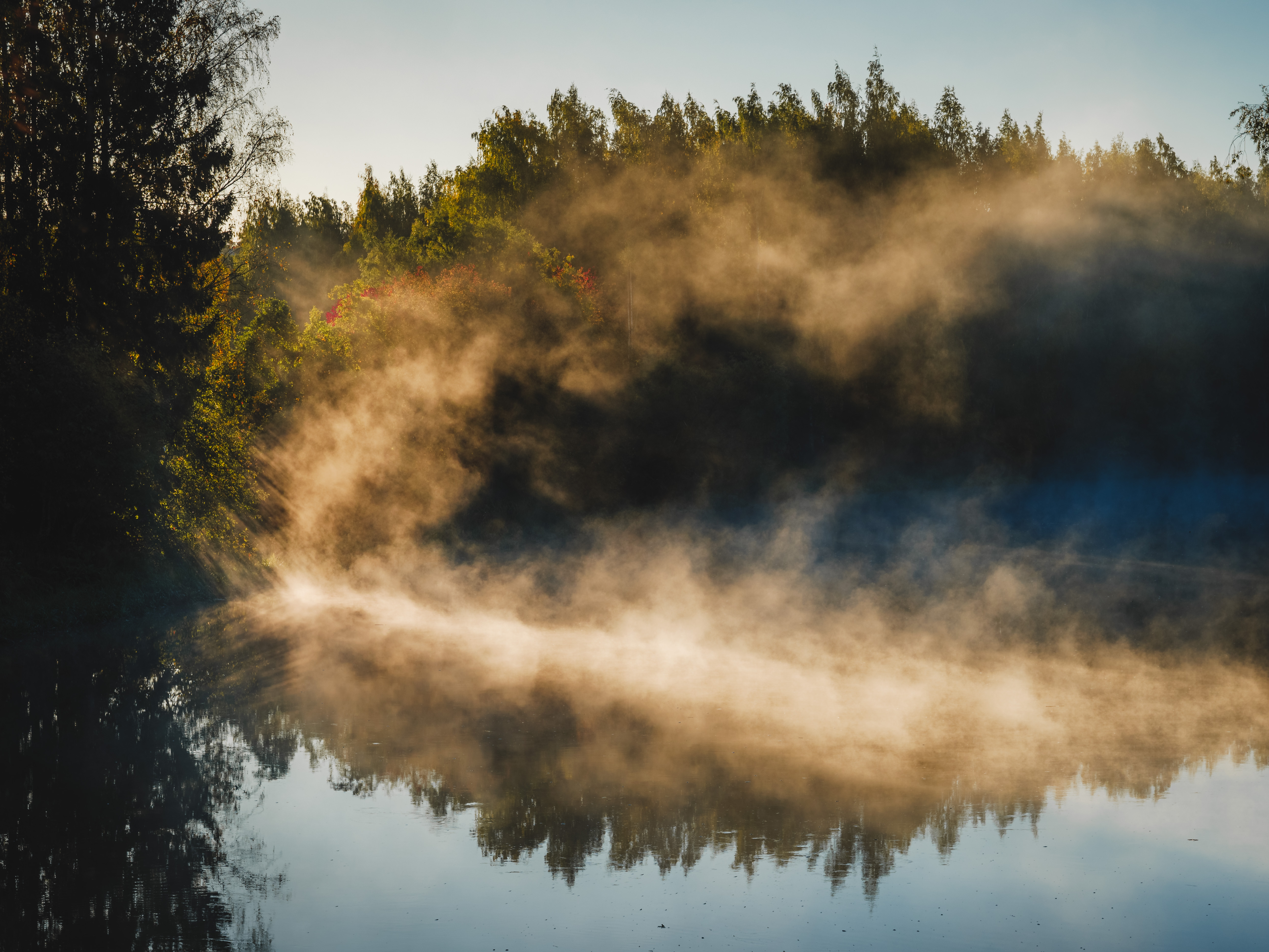 Misty river with steam fog rising over still water surrounded by forest, showcasing the atmospheric conditions PhotoWeather helps photographers capture