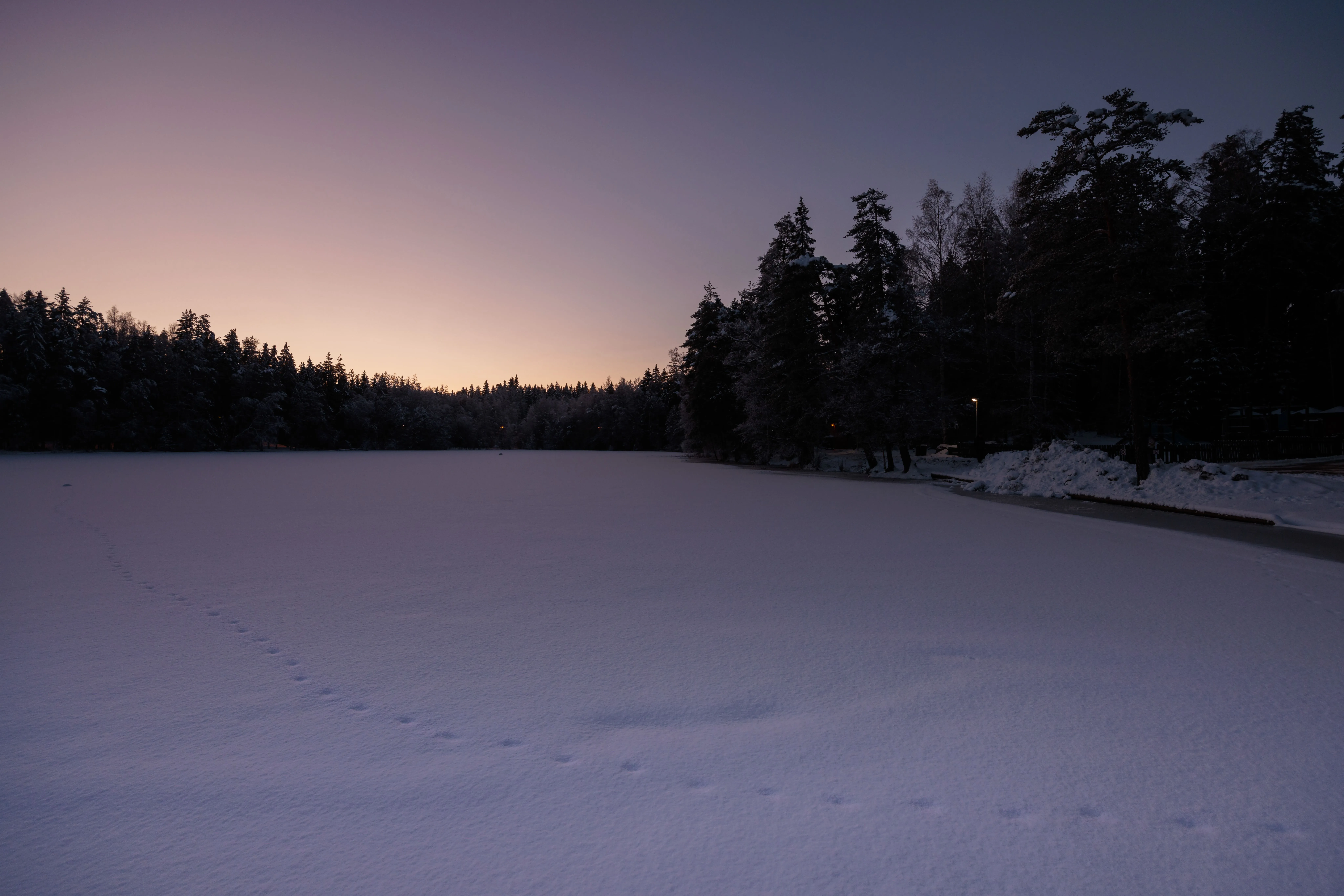 Fresh footprints in new snow at dawn, showcasing the atmospheric conditions PhotoWeather helps photographers capture