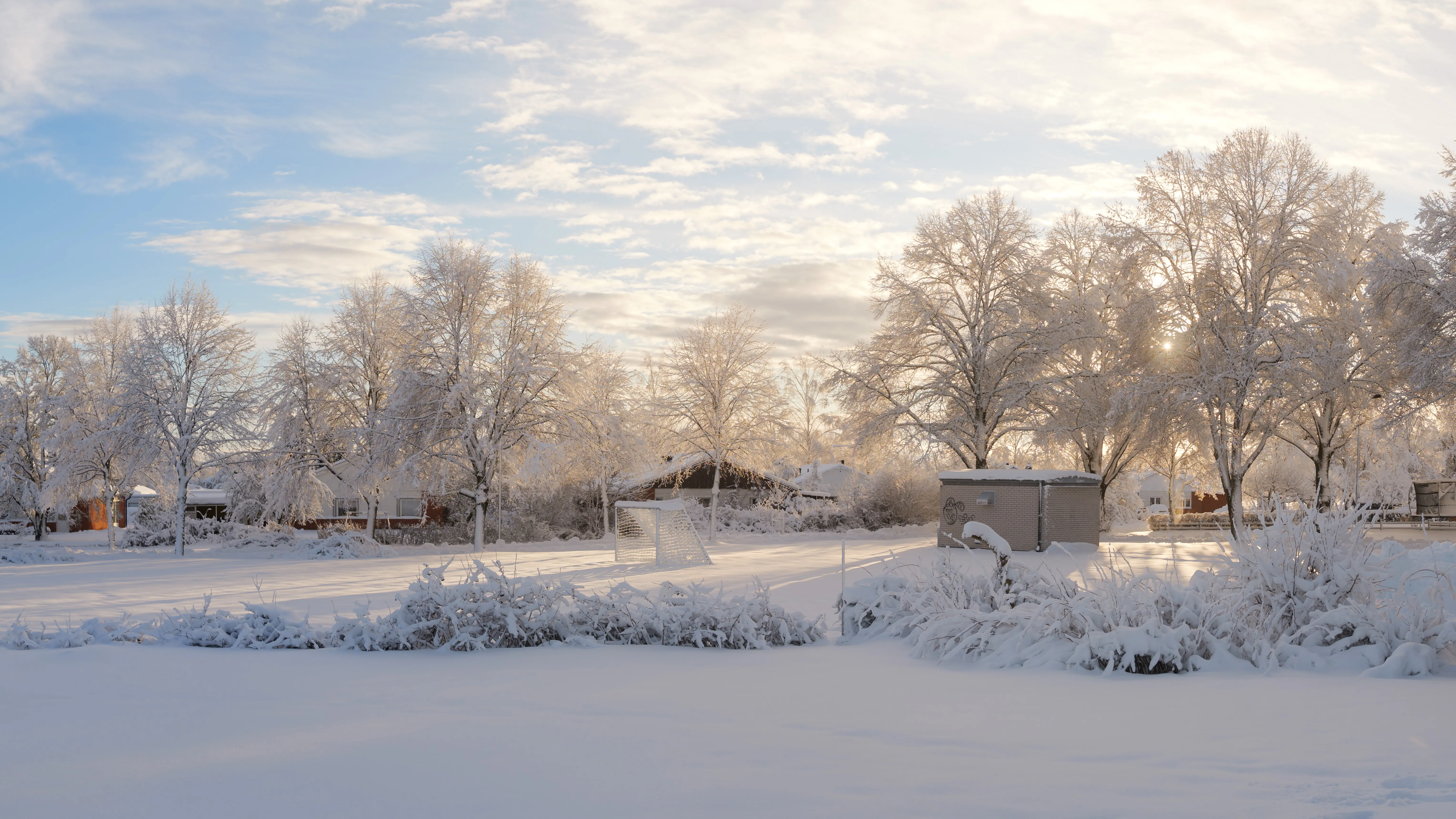 Fresh untouched snow covering a winter landscape, showing the pristine conditions PhotoWeather helps photographers capture