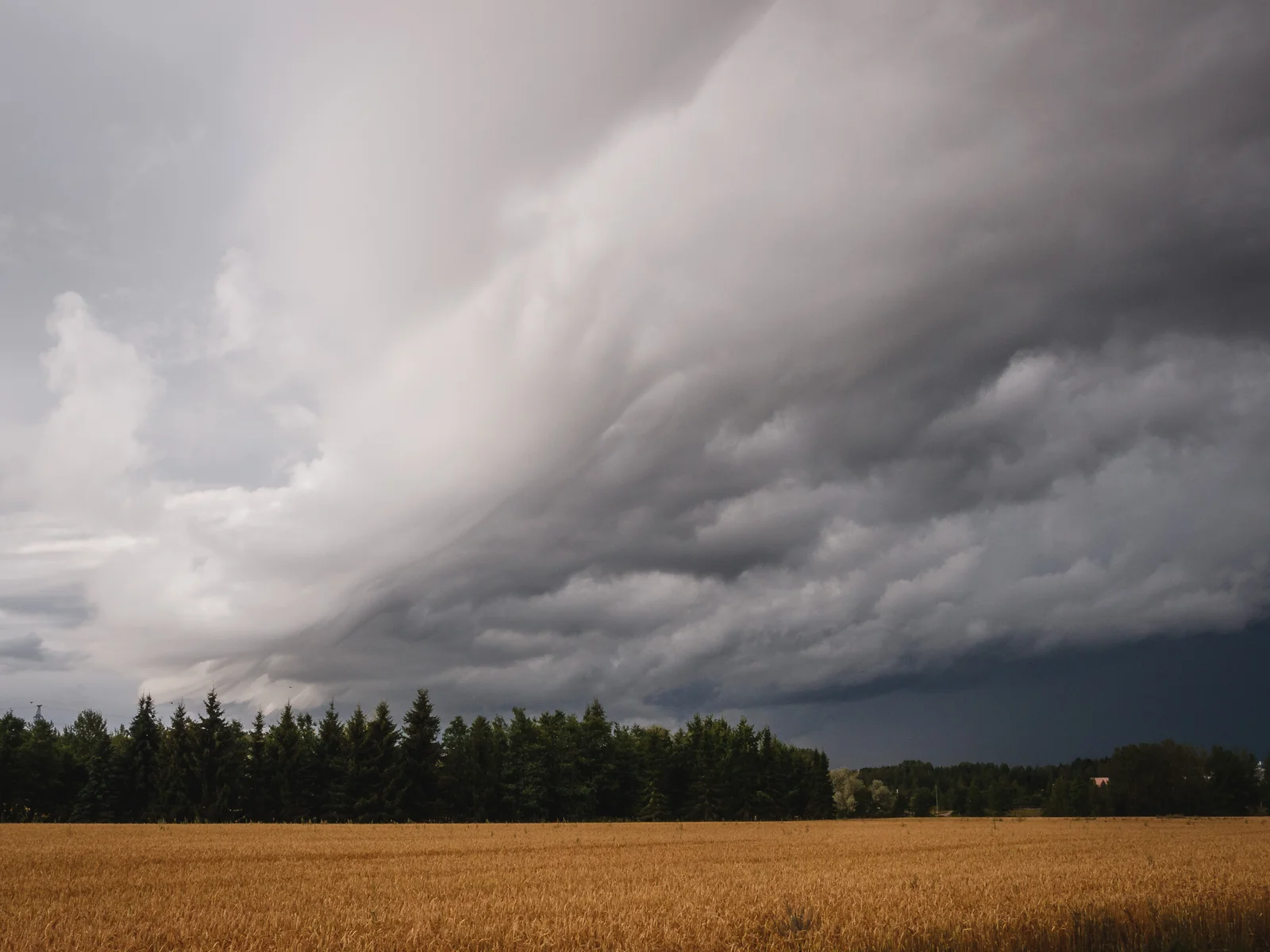 Dramatic storm clouds over an open field with warm sunset light